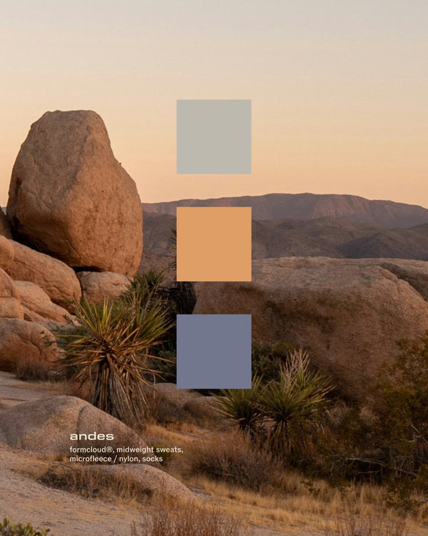Color swatches sit in front of desert background
