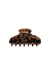 SET TORTOISE CLAW CLIP - TORTOISE